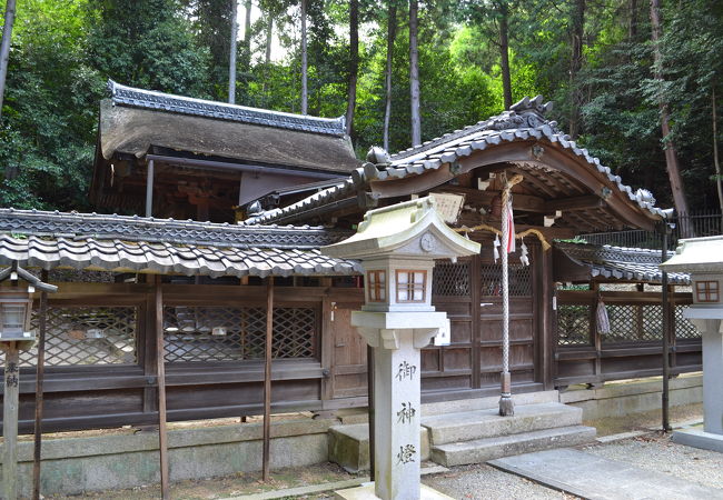 源義経に縁のある神社