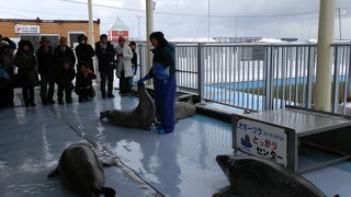 厳冬期の見学は十二分な防寒対策が必要です