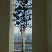 東京タワーもスカイツリーも富士山も見えるホテル！