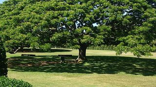 プレミアムアウトレットへ行く途中に