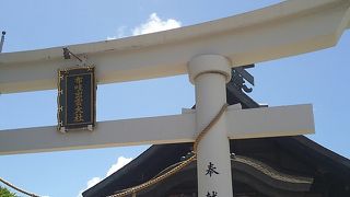 ダウンタウンから徒歩圏内