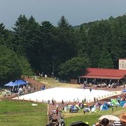 真夏の雪祭りやってます