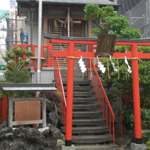 講武稲荷神社の階段と鳥居の赤色が、周囲の緑に映えています。