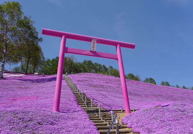 藻琴山温泉 芝桜公園 クチコミ アクセス 営業時間 女満別 美幌 フォートラベル 藻琴山温泉 芝桜公園 クチコミ アクセス 営業時間 女満別 美幌 フォートラベル