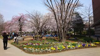 憩いのスペ－ス