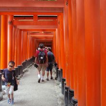 千本鳥居に入る