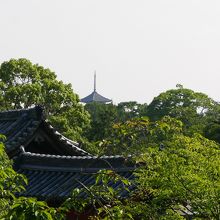 興福寺が見える