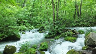 滝がいくつもあり緑が濃かった