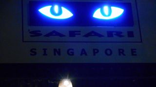 シンガポール観光といえば「ナイトサファリ」、一度は訪れたい感動スポット