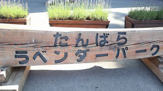 朝早く行くのがおススメ！