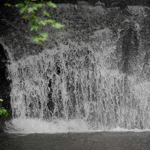 橋の方に出ないと下部分は見えない