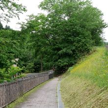 この先にトイレ　奇麗なトイレだ