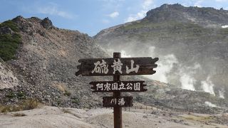 迫力ある景色を楽しめる（硫黄山）