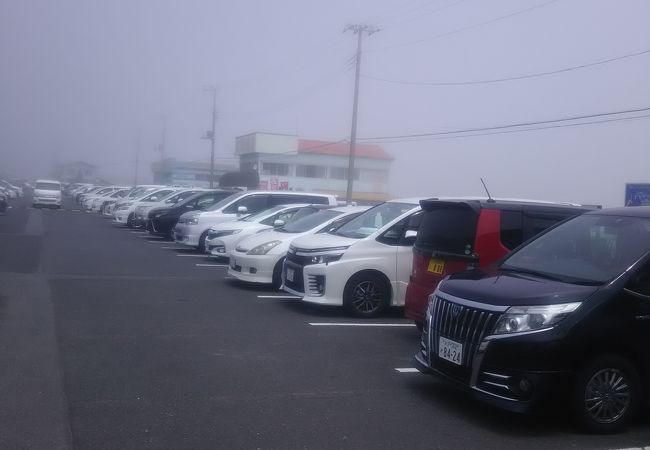 大竹海岸鉾田海水浴場 クチコミ アクセス 営業時間 鉾田 行方 フォートラベル