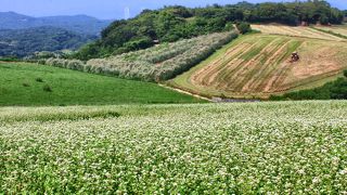 花の無い時期だからゆったり