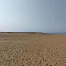 砂漠のような感じ