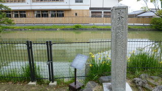 池を造ってプールにしたのねー