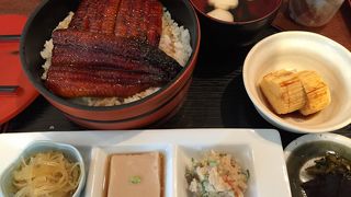 夏の新メニュー