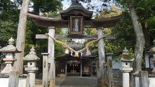 小さな唐破風を頂いたユニークな鳥居