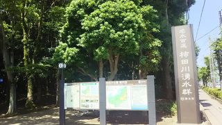 水と緑のオアシス。