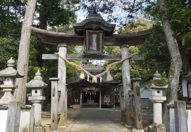 小さな唐破風を頂いたユニークな鳥居