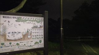 最寄りは妙蓮寺駅