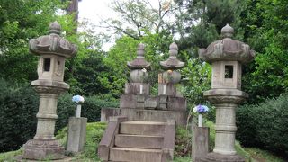 洗足池散策の途中で