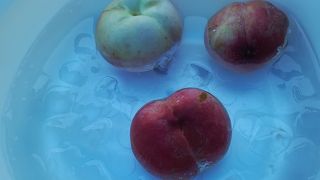 今年も行ってきました