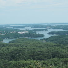 展望台からの景色