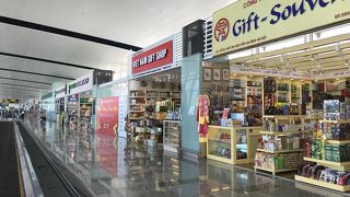 VNDが使えなかった