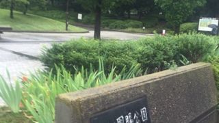 貯木場跡地の公園