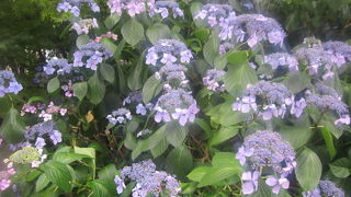 駅直結の施設とは別ですのでご注意ください