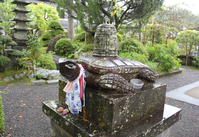 亀がお寺のシンボル
