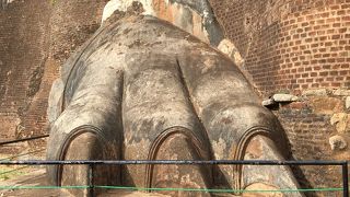 ライオンゲ一ト