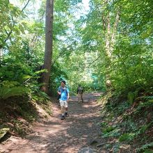 自然をいかした道