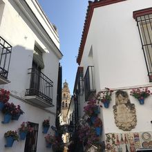 至る所に花が！