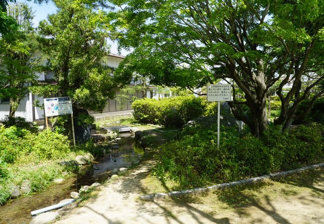 妙に手が入れられた公園です