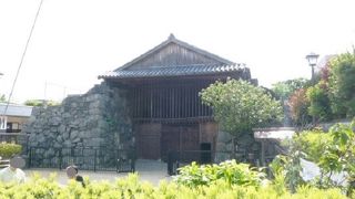 初めてみたわー感動ー