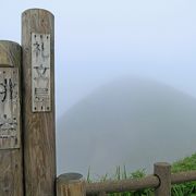 霧の礼文島