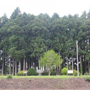 野辺地駅のホームからよく見えます