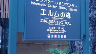 のどかな、心地よいスペースです。