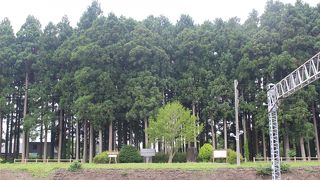 野辺地駅のホームからよく見えます