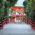 氷川神社の茅の輪くぐりと植木草花市