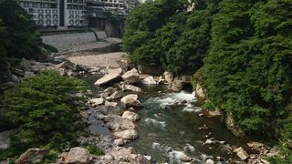 癒しのスポット