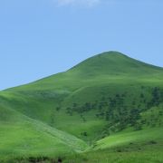 濃緑の山