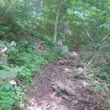 何度登っても快適な”お地蔵さん”沿いの登山道