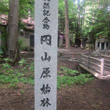 登山口にある石碑の様子