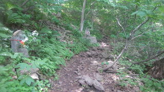 頂上傍の碑が、笹に埋もれ気味でした