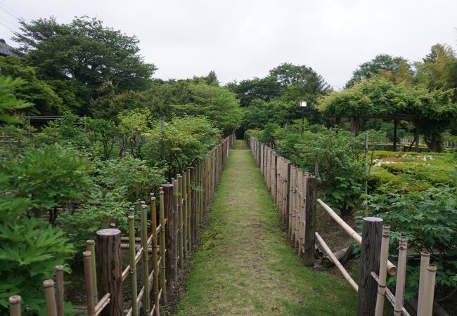 秘密の花園といった雰囲気のボタン園でした