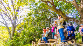 藤代峠も大渋滞していました。